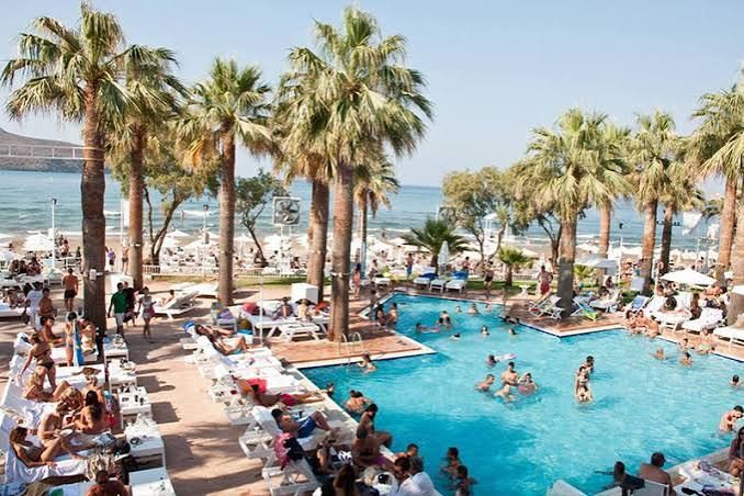 Beach club with pool and palm trees by the sand